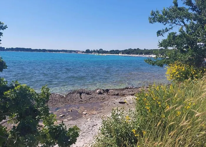 In Near Bijeca Apartman *